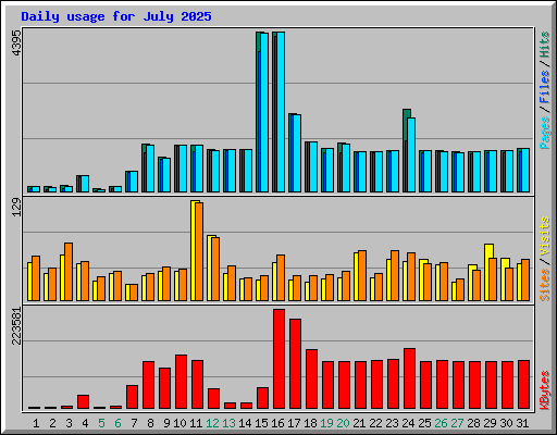 Daily usage for July 2025