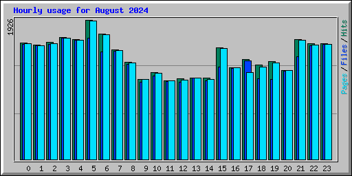Hourly usage for August 2024