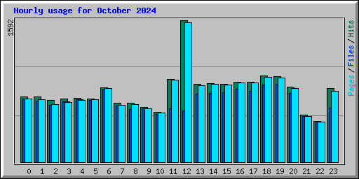 Hourly usage for October 2024