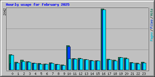Hourly usage for February 2025