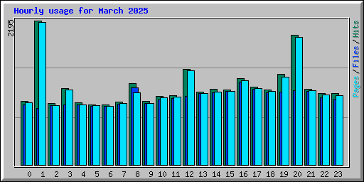 Hourly usage for March 2025