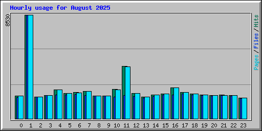 Hourly usage for August 2025